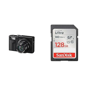 超美品　Panasonic LUMIX DC-TZ99 SDカードおまけ 超美品 Panasonic LUMIX DC-TZ99 SDカードおまけ
